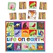 eeBoo Life on Earth Memory Game