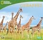 Giraffes