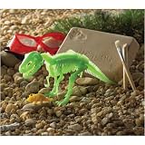 Scientific Explorer's My First Dinosaur Science Kit