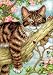 Cross Stitch Kit Napping Kitten Gold Collection Petites