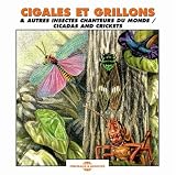 Sounds of Nature: Cicadas and Crickets