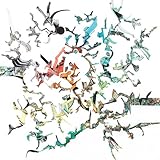 Joined Ends [帯解説・ボーナストラック1曲収録 / 国内盤] (BRC440)