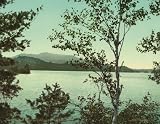 Upper St. Regis Lake, Adirondacks, 1902 - Print of a Vintage Photochrom Image from the Library of Congress Collection