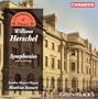 Symphony No. 2 in D major: I. Allegro