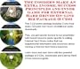 The Rich Man's Earn More Money, Marketing and Inner Game for External Hard Drives On-line Businesses 3 Course Pack