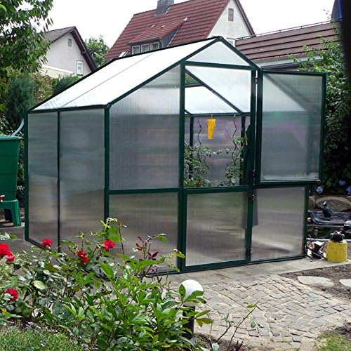 Exaco Trading Rose Greenhouse