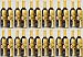 THAI-GO DRINK, Strong Antioxidant with Mangosteen Fruit (Pack of 12) 2 - 25 FL OZ each Bottle