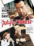 The Petrified Forest