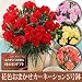 ���������x��Ă����ꂵ����̓��M�t�g�ԐF���܂����J�[�l�[�V����5���� 