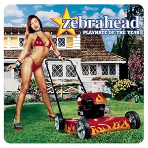 Playmate of the Year by Zebrahead (Audio CD - 2008)