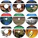 The Exclusive 9 CD No Money Down, Millionaire Making Real Estate Mastery Set