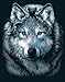 Reeves Wolves Scraperfoil Artwork, Silver
