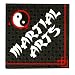 Martial Arts Napkins (16) Party Supplies
