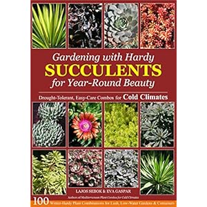 Gardening with Hardy Succulents for Year-Round Beauty: Drought-Tolerant, Easy-Care Combos for Cold Climates