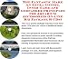 The Fantastic Make An Extra Income, Inner Game and Godfather Principles for Aquarium Accessories On-line Biz Package (3 CDs)
