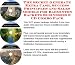 Book The Secret Generate Extra Cash, Success Principles and Sales Models for Badminton Rackets Businesses 3 CD Combo Pack