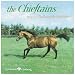 Ballad of the Irish Horse