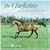 Ballad of the Irish Horse