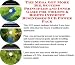 The Mega Get More Biz, Success Principles and Inner Game for Toilets & Bidets Internet Businesses 3 