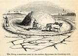 1854 Woodcut Ancient Egypt Agriculture Farming Equipment Livestock Archaeology - Original Woodcut