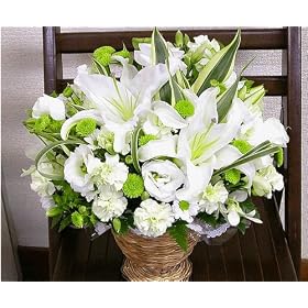 �����������Ă������ɑ��肽���I �O���[���Ɣ��I�t�z���C�g�̂��Ԃ����^�ȃC���[�W�ł��B������݂� �J�T�u�����J�̓��������ƃO���[���̐��^�ȃA�����W