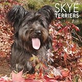Skye Terriers 2009 Square Wall Calendar