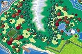 Island Adventure Playboard