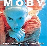 Everything Is Wrong
