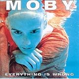 Everything is Wrongpar Moby