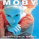 Everything Is Wrong