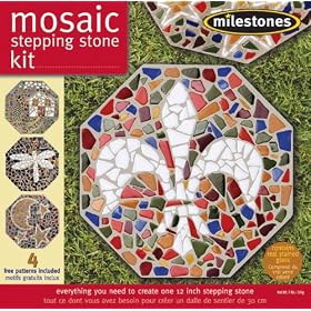 Mosaic Stepping Stone Kit-