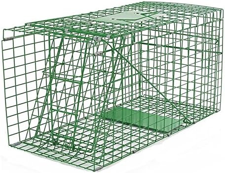 Collapsible Humane Live Animal Trap 3 Size Raccoon Skunk Rabbit Coyote Fox (Size 31"x12"x12")
