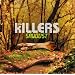 Sawdust [Bonus Track]