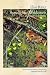Books : Appalachian Wilderness: The Great Smoky Mountains