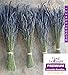 L+ Dried Lavender Bundles: 100% Natural Local Farm Lavender, Ideal for Home Decor and Fragrance, 4 Bundles