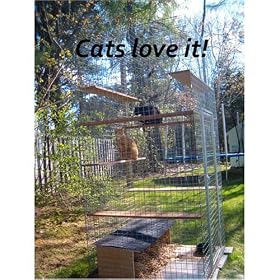 http://ecx.images-amazon.com/images/I/61X%2Bk28E6vL._AA280_.jpg
