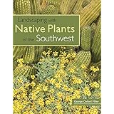 landscaping with native plants of the southwest