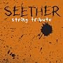 Seether String Tribute