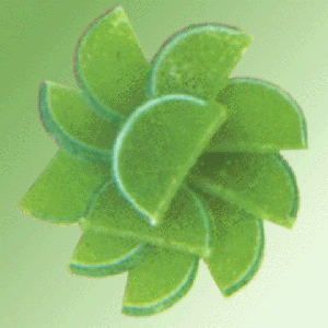 Fruit Slices Sour Apple by The Candy Depot