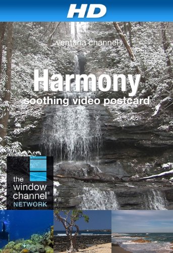 30 Minutes to Relax in Nature