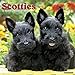 2016 Just Scotties Wall Calendar