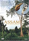 Assam - Im Land der Bienenb�ume - 
