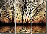 Framed Huge 3 Panel Art Sunshine Rays Sun Tree Giclee Canvas Print