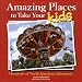 Books : Amazing Places to Take Your Kids: Hundreds of North American Adventures (Travel)