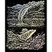 Royal and Langnickel Holographic Engraving Art, Dolphin Cove