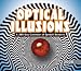 Optical Illusions 2008 Calendar: A 366-day Calendar of Eyeball Benders