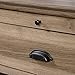 Sauder Barrister Lane Night Stand, Salt Oak finish