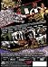 喧嘩の極意2 [DVD] 別画像