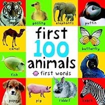 First 100 Animals (First Words)