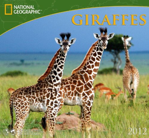 2012 Giraffes - National Wall calendar